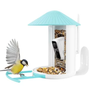 Netvue's Feed and Watch Your Feathered Friends with Birdfy AI Feeder!