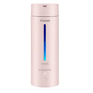Electric Mini Kettle 