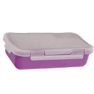 Tiffin or Lunch Box