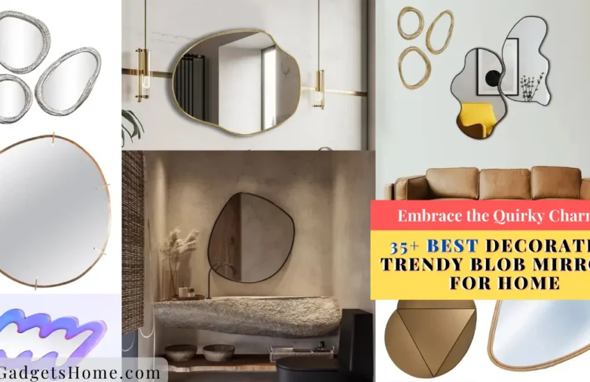 35+ Best Decorative Trendy Blob Mirrors for Home
