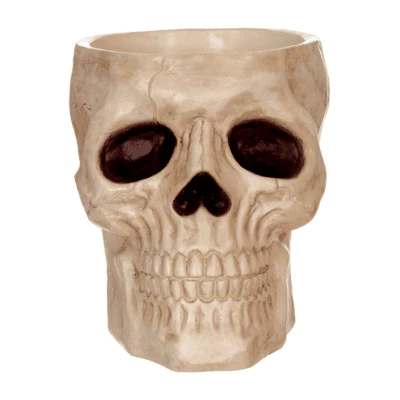 Spooky Candy Bowl Or Human Skull Bowl