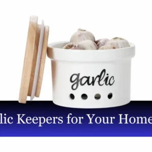 Top 6 Best Garlic Keepers for Your Home Kitchen