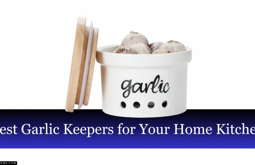 Top 6 Best Garlic Keepers for Your Home Kitchen